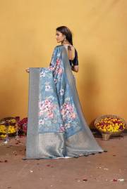 Np Saree  DN 9745A TO 9745F